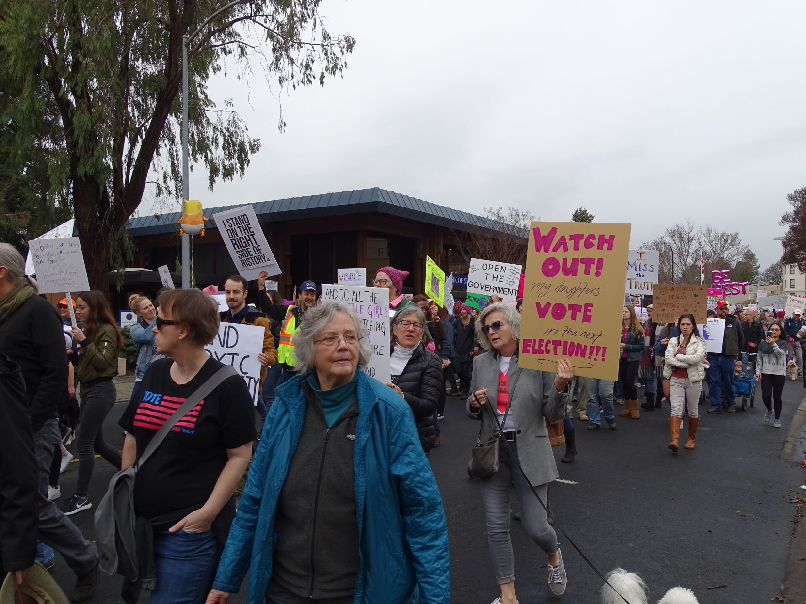 Women's March Napa Valley 2019